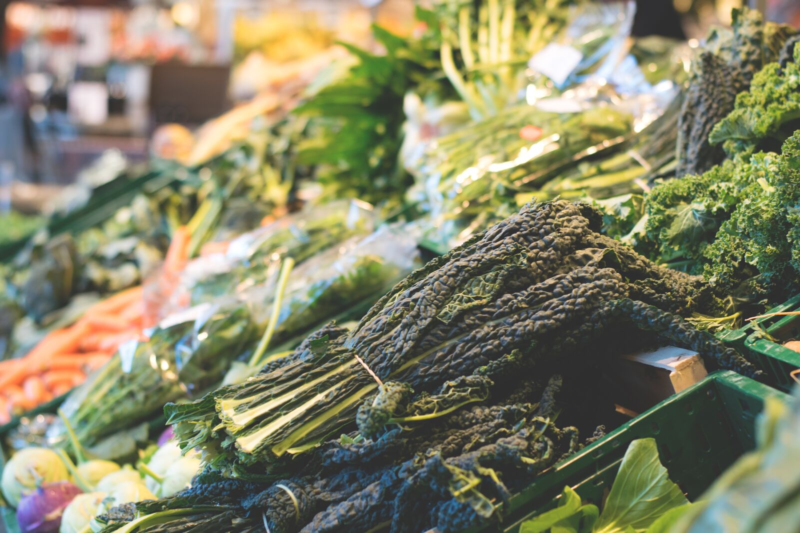 Nikon D5300 sample photo. Green, leaf, vegetables photography