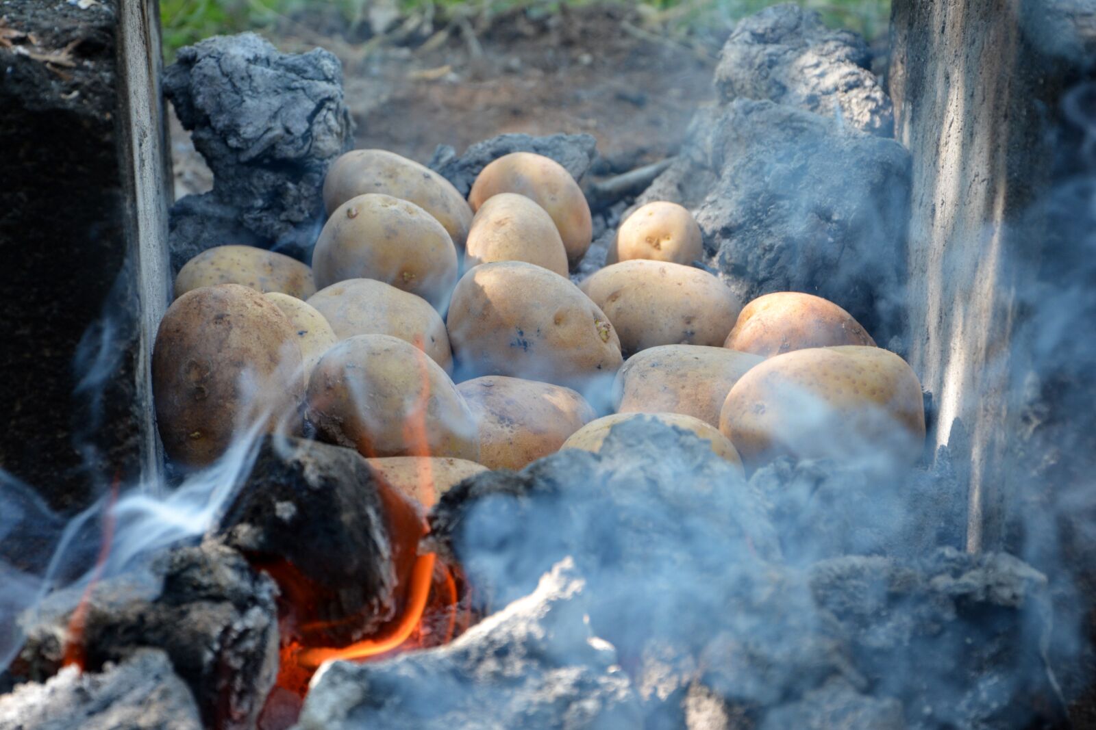Nikon D7100 sample photo. Ali, embers, blind photography