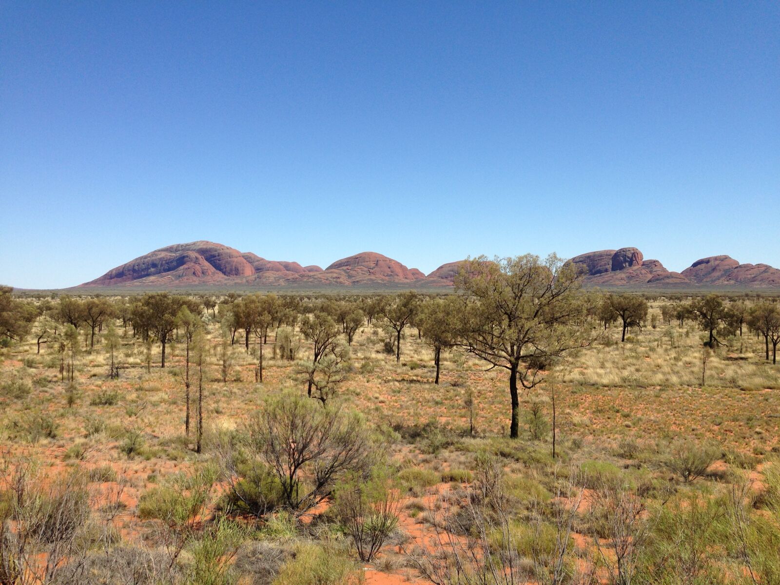 iPhone 5c back camera 4.12mm f/2.4 sample photo. Australia, mountain, nature photography