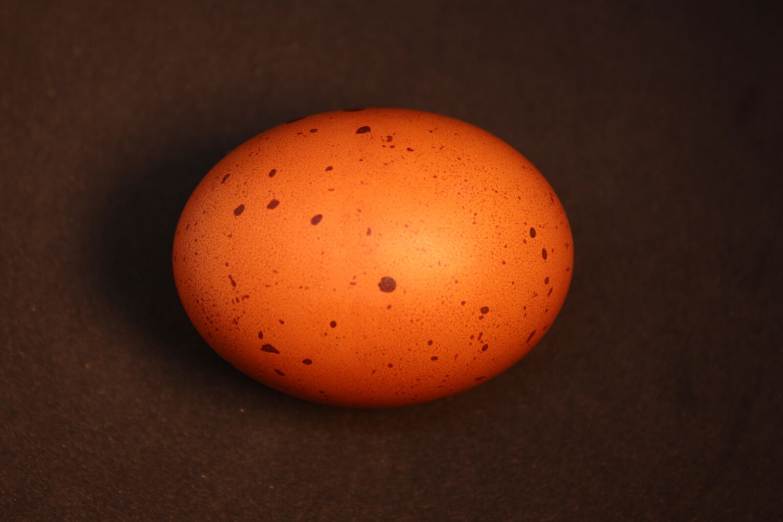Canon EOS 700D (EOS Rebel T5i / EOS Kiss X7i) sample photo. Egg, brown, food photography