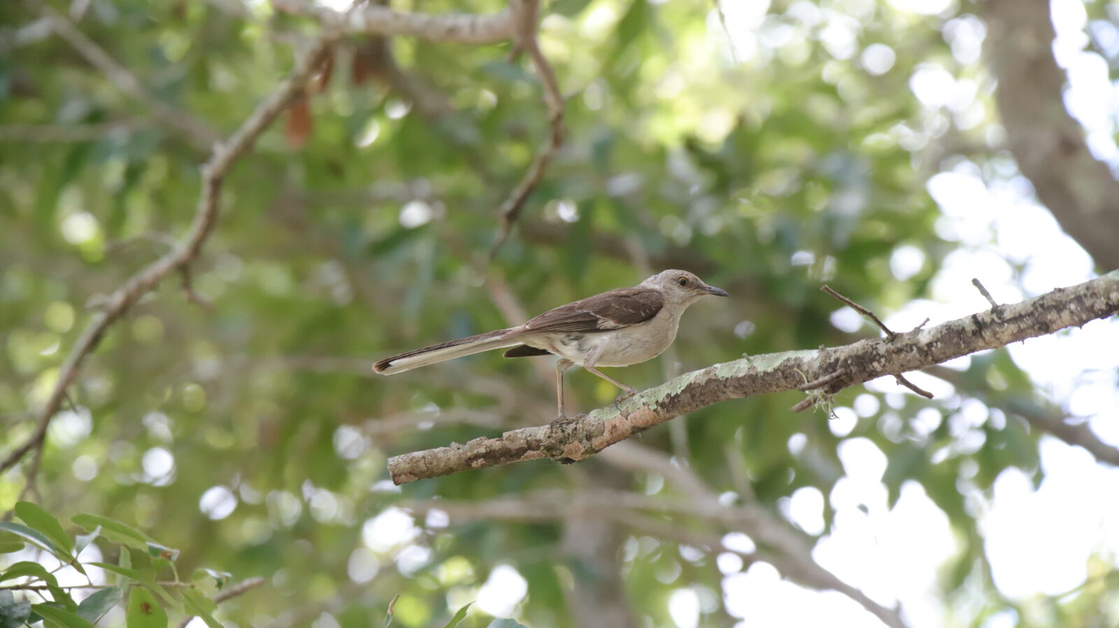 Canon EOS 6D Mark II sample photo