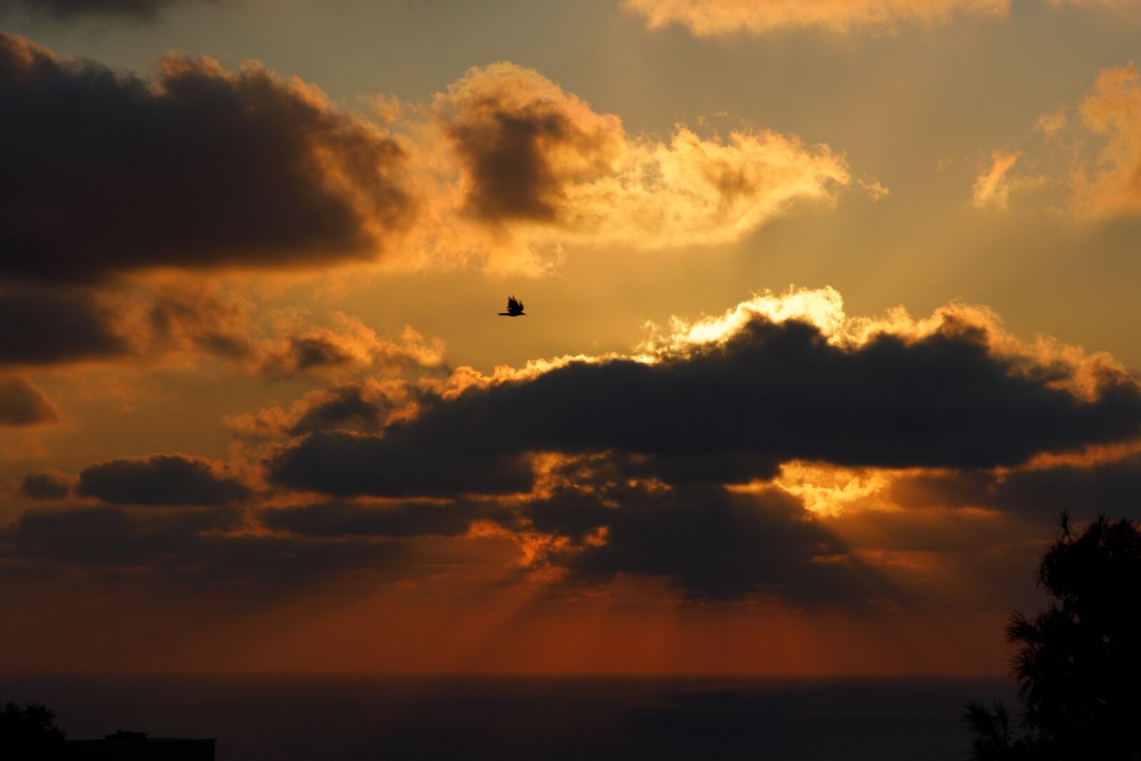 Canon RF 24-105mm F4L IS USM sample photo. Sunset, sun, clouds photography