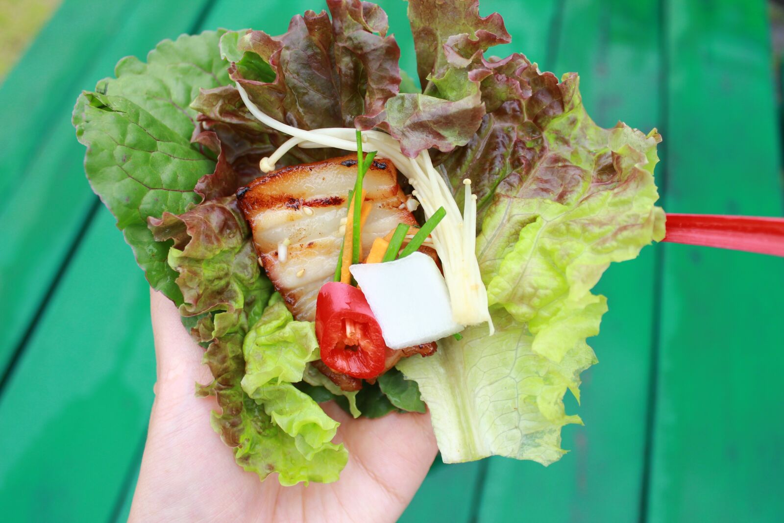 Canon EOS 600D (Rebel EOS T3i / EOS Kiss X5) sample photo. Pork, meat, ssam photography