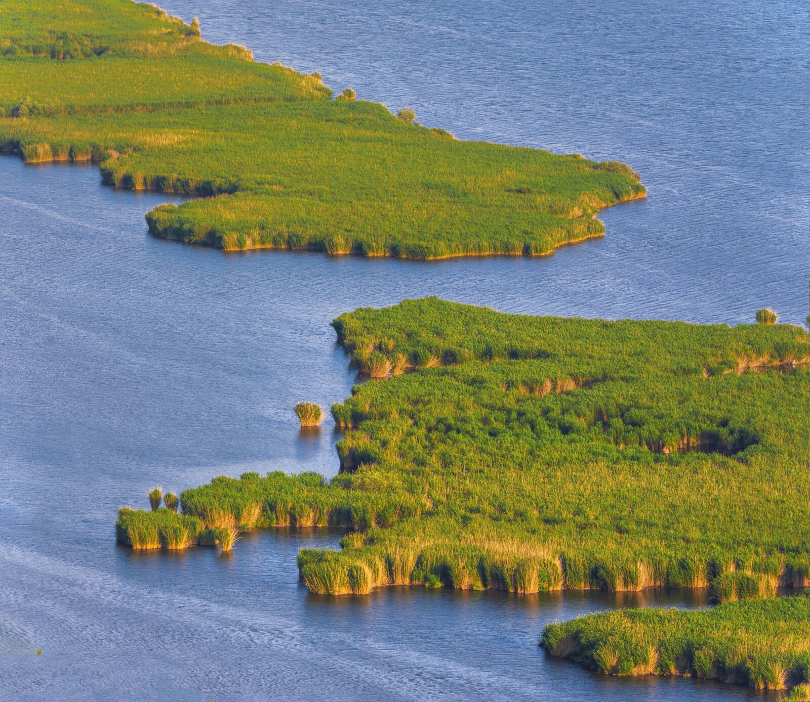 Nikon D7200 sample photo. Shapes, lake, reeds photography