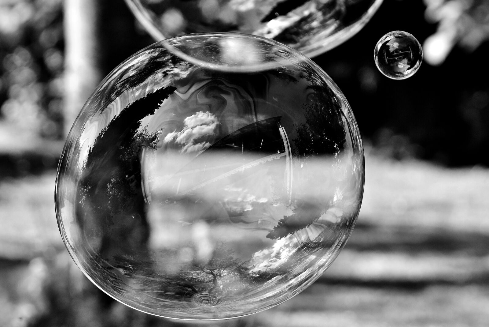 Nikon D7200 sample photo. Soap bubble, black and photography