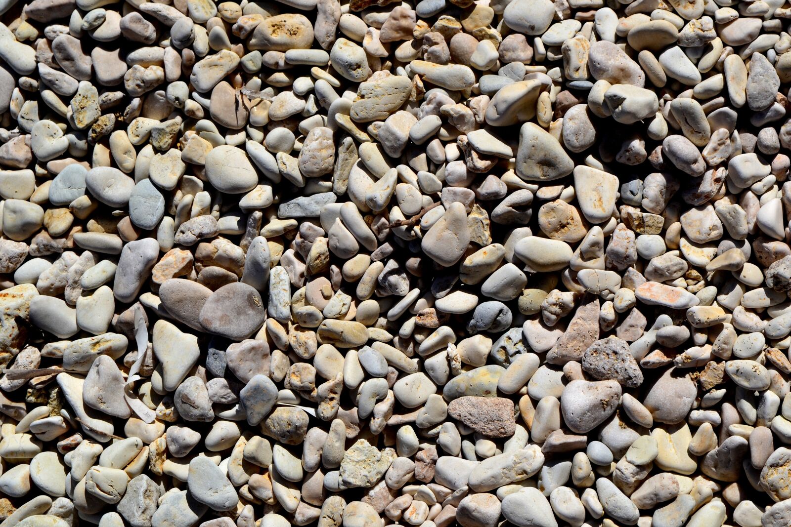 Nikon D3100 sample photo. The stones, beach, pebbles photography