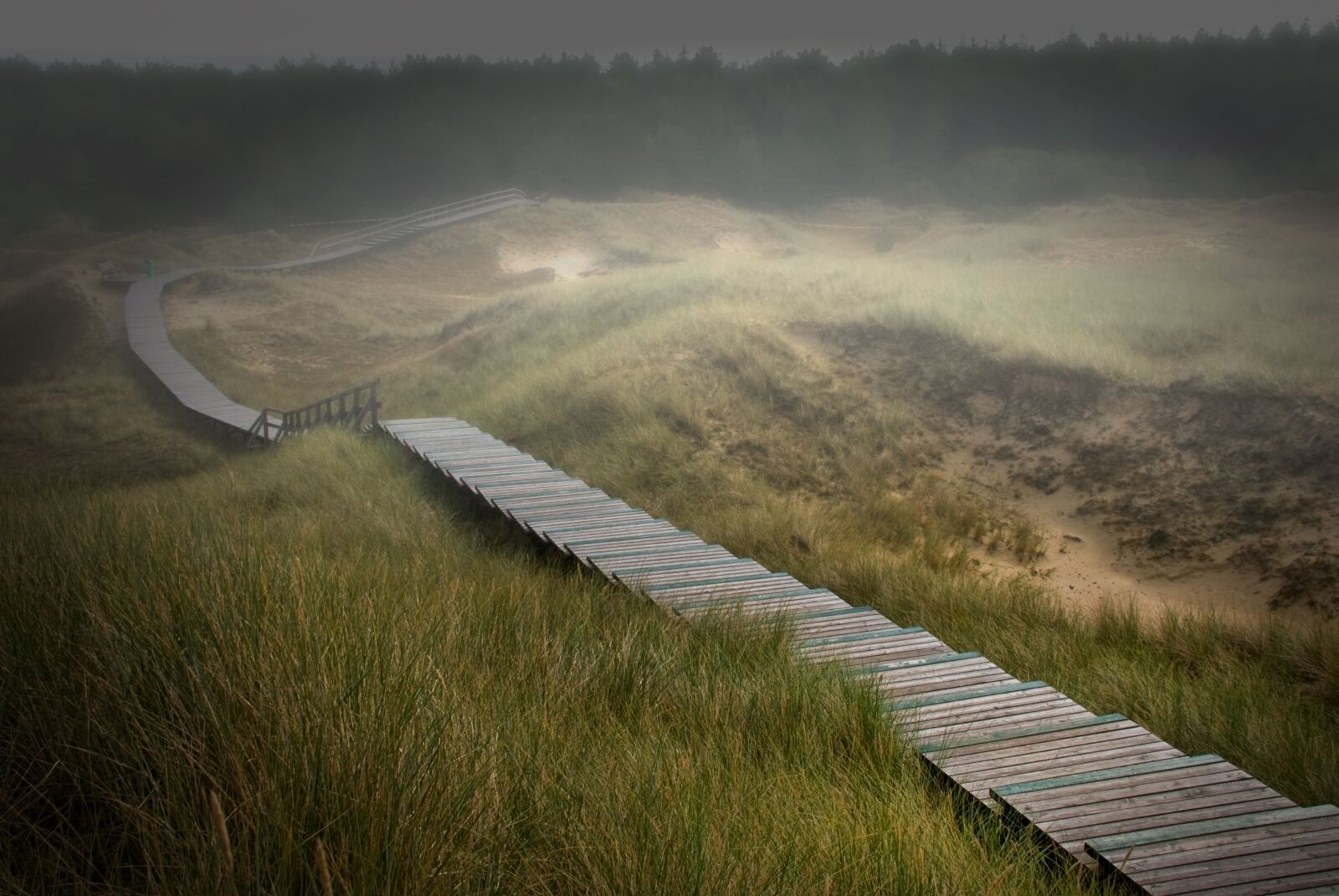 Nikon D200 sample photo. Amrum, dunes, island photography