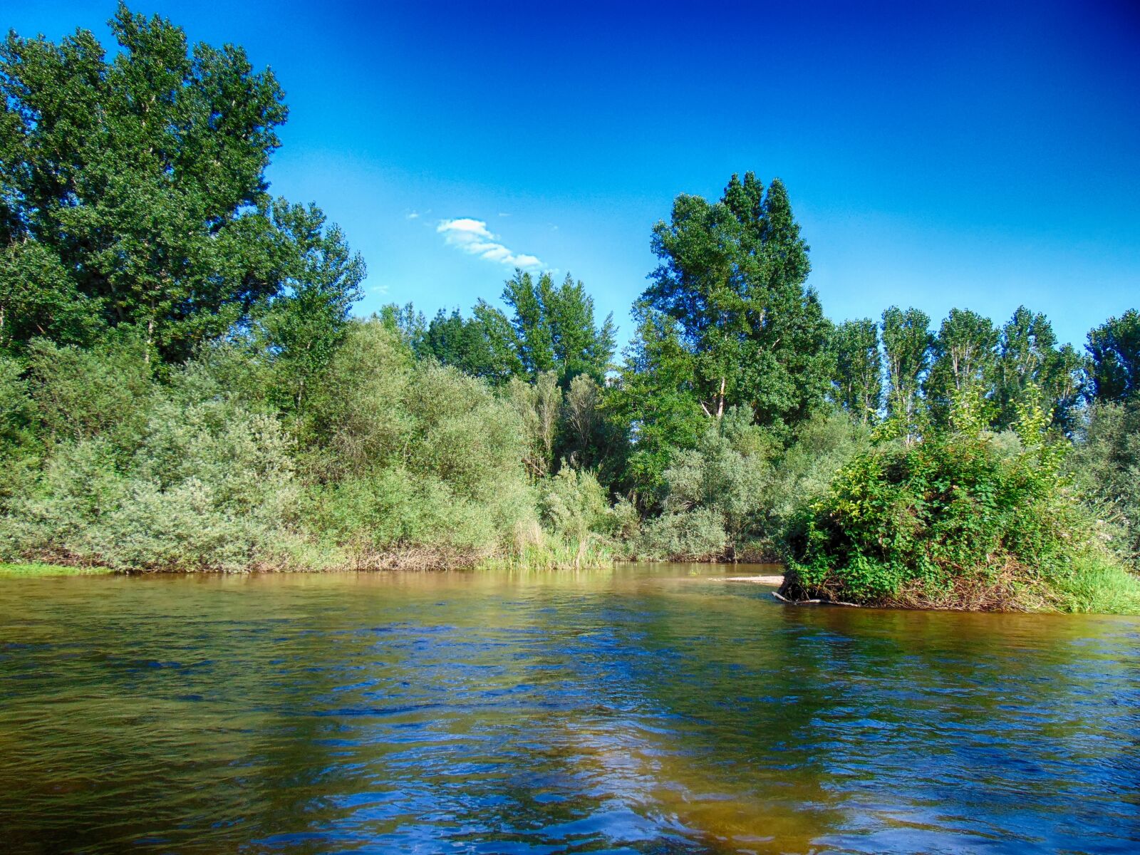 Sony Cyber-shot DSC-H300 sample photo. River, summer, nature photography