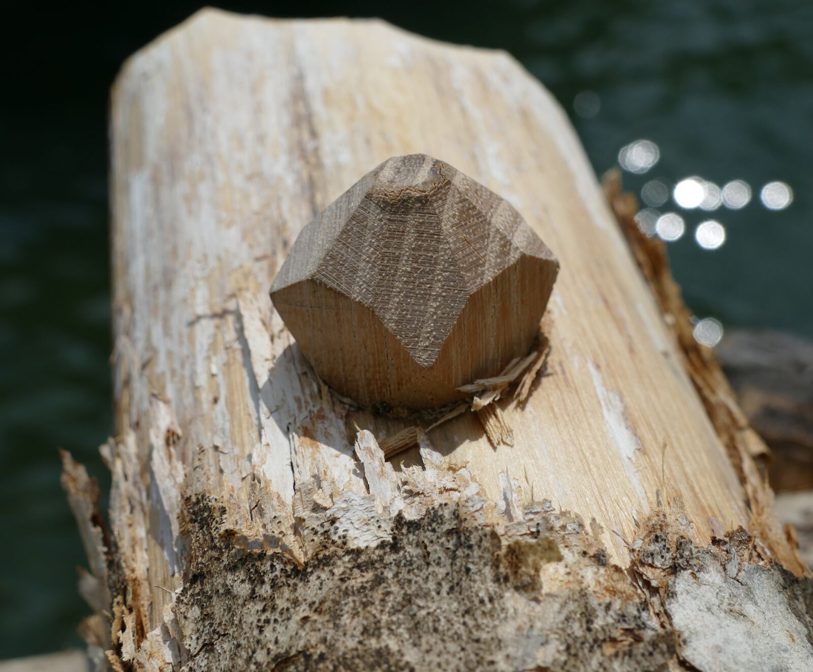 Panasonic Lumix DMC-FZ1000 sample photo. Wood, wooden nail, wood photography