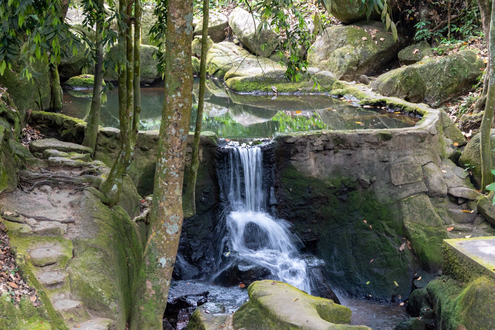 Nikon D5600 sample photo. Water, fall, green photography