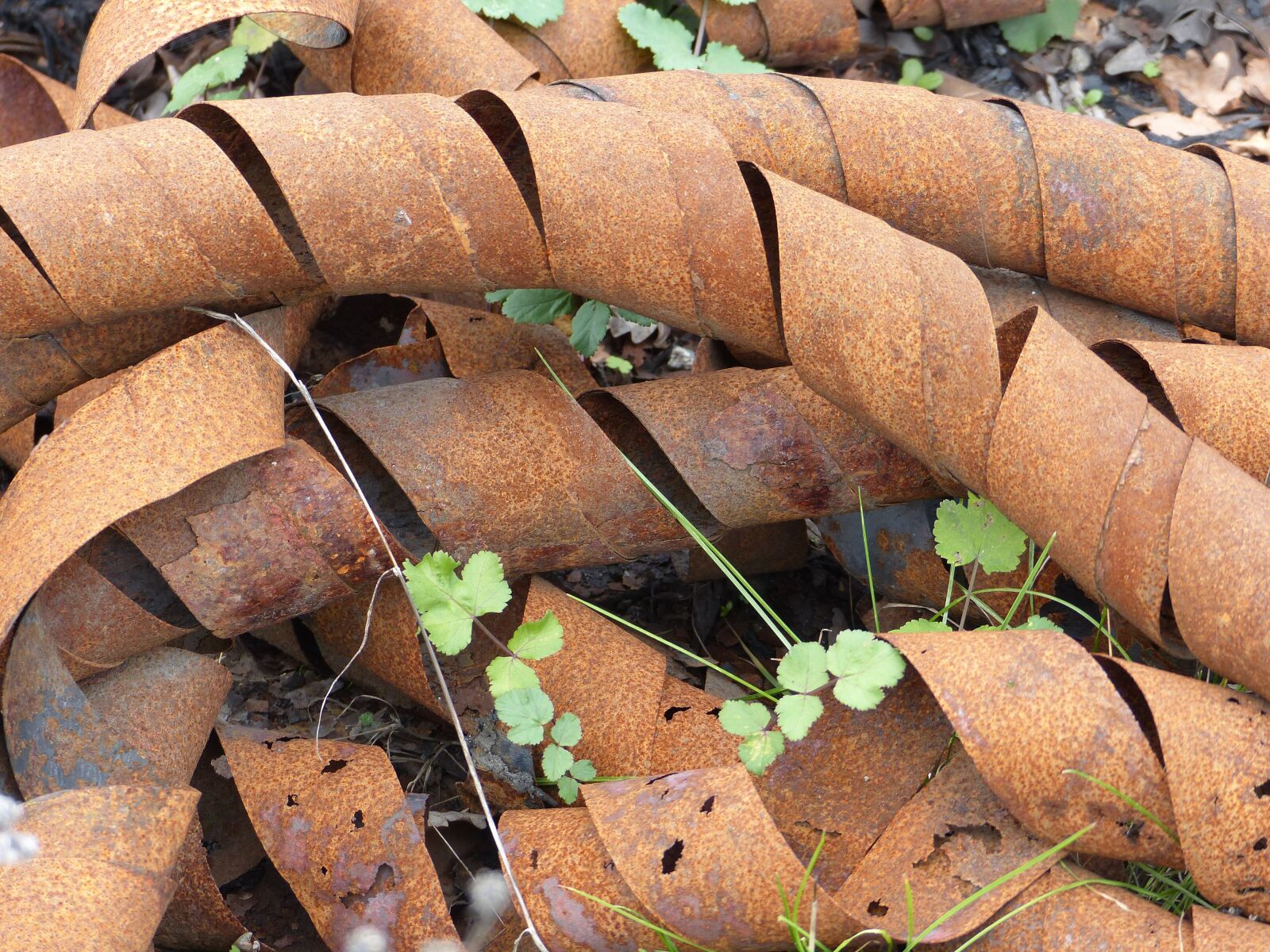 Panasonic Lumix DMC-FZ200 sample photo. Metal, waste, springs photography
