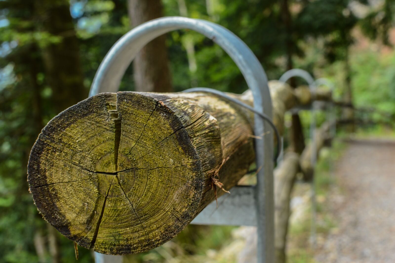 Nikon D3200 sample photo. Log, tribe, wood photography