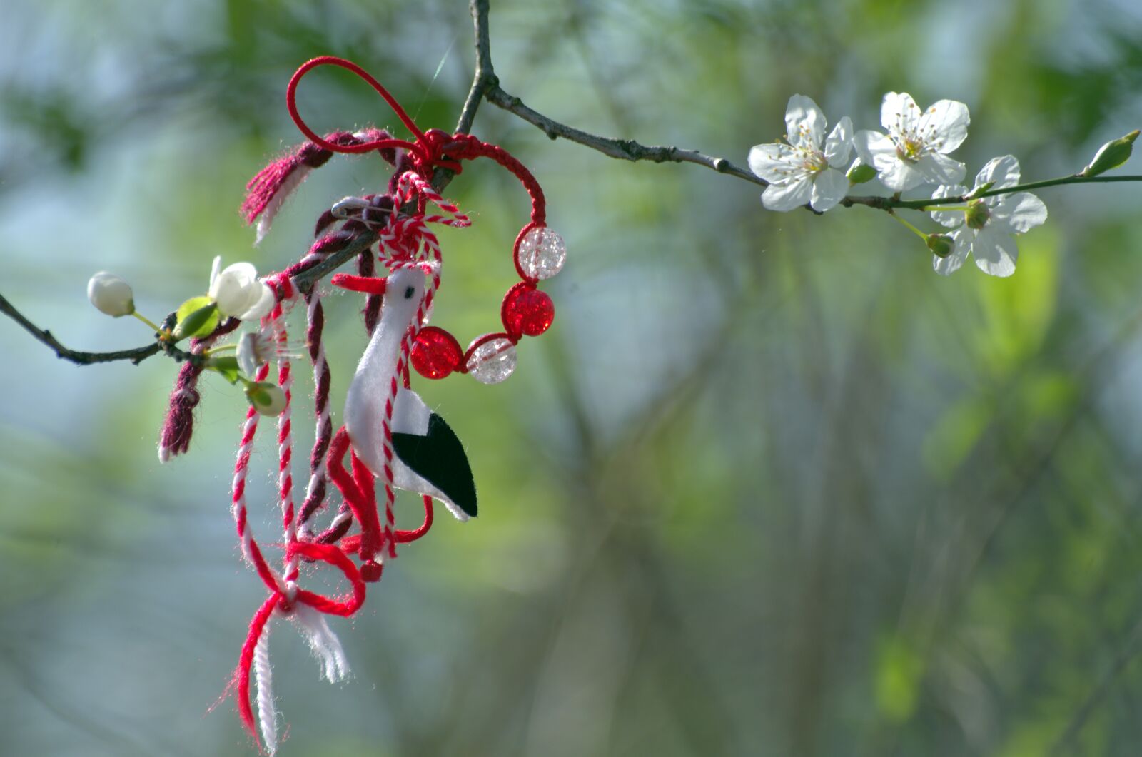 Pentax K-30 sample photo. Branch, the beginning of photography