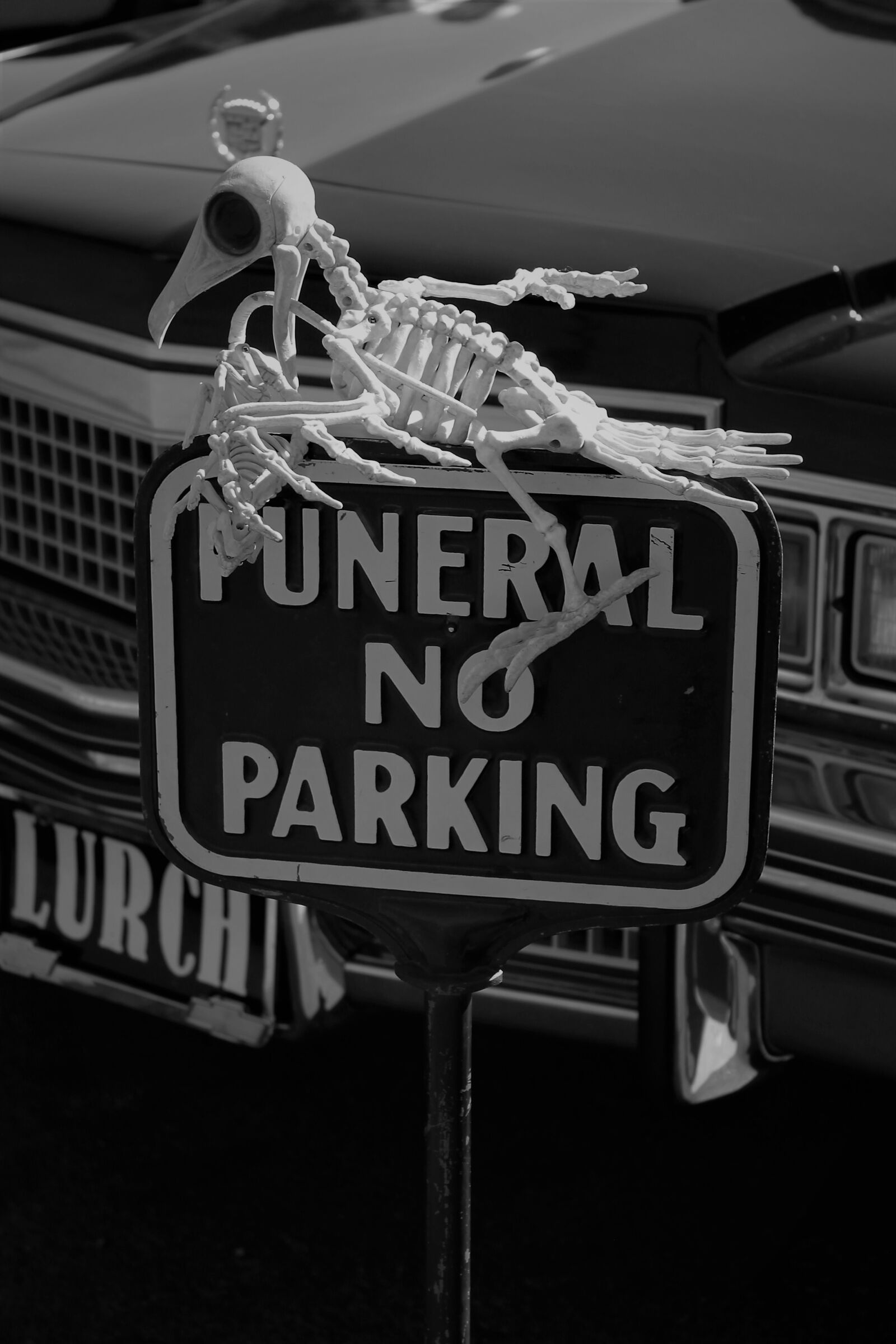 Canon EOS 1100D (EOS Rebel T3 / EOS Kiss X50) sample photo. Halloween, lurch, skeleton photography
