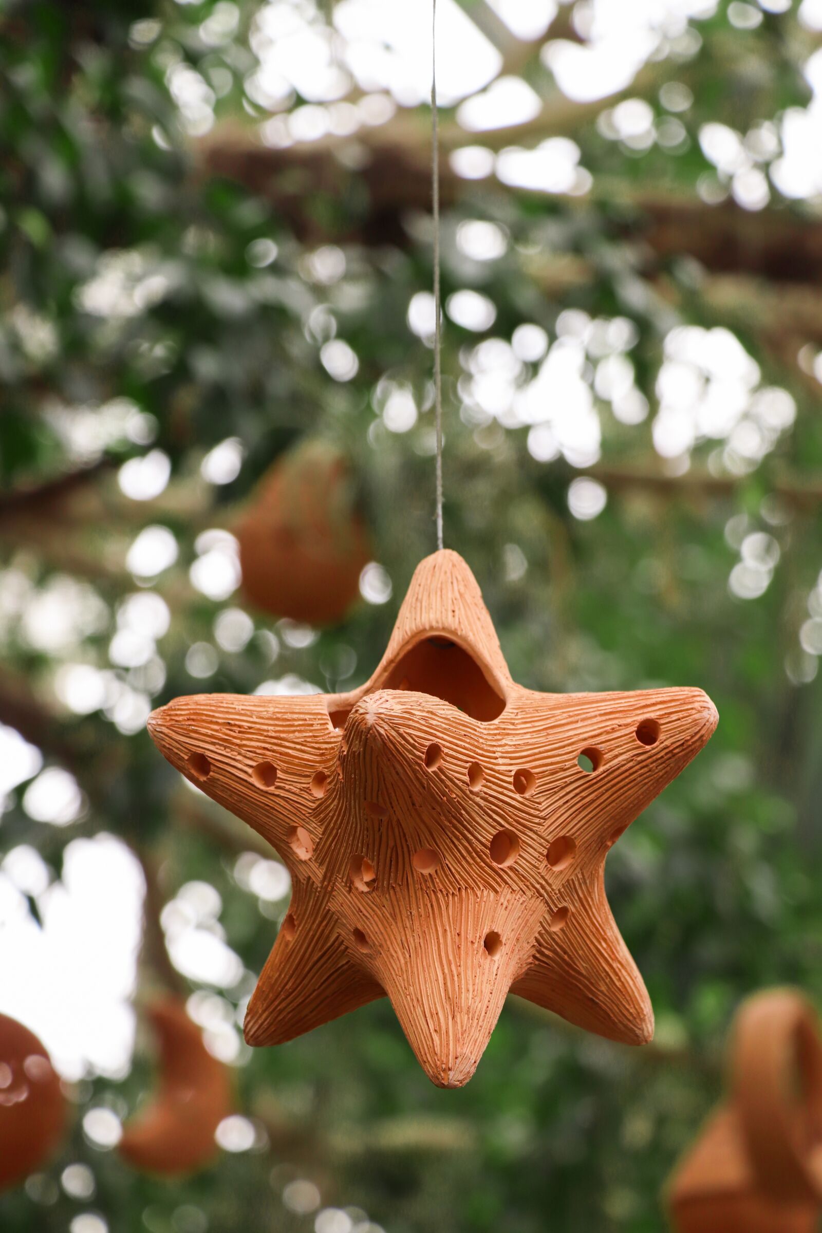 Canon EF-S 18-135mm F3.5-5.6 IS USM sample photo. Decoration, suspension, plant photography