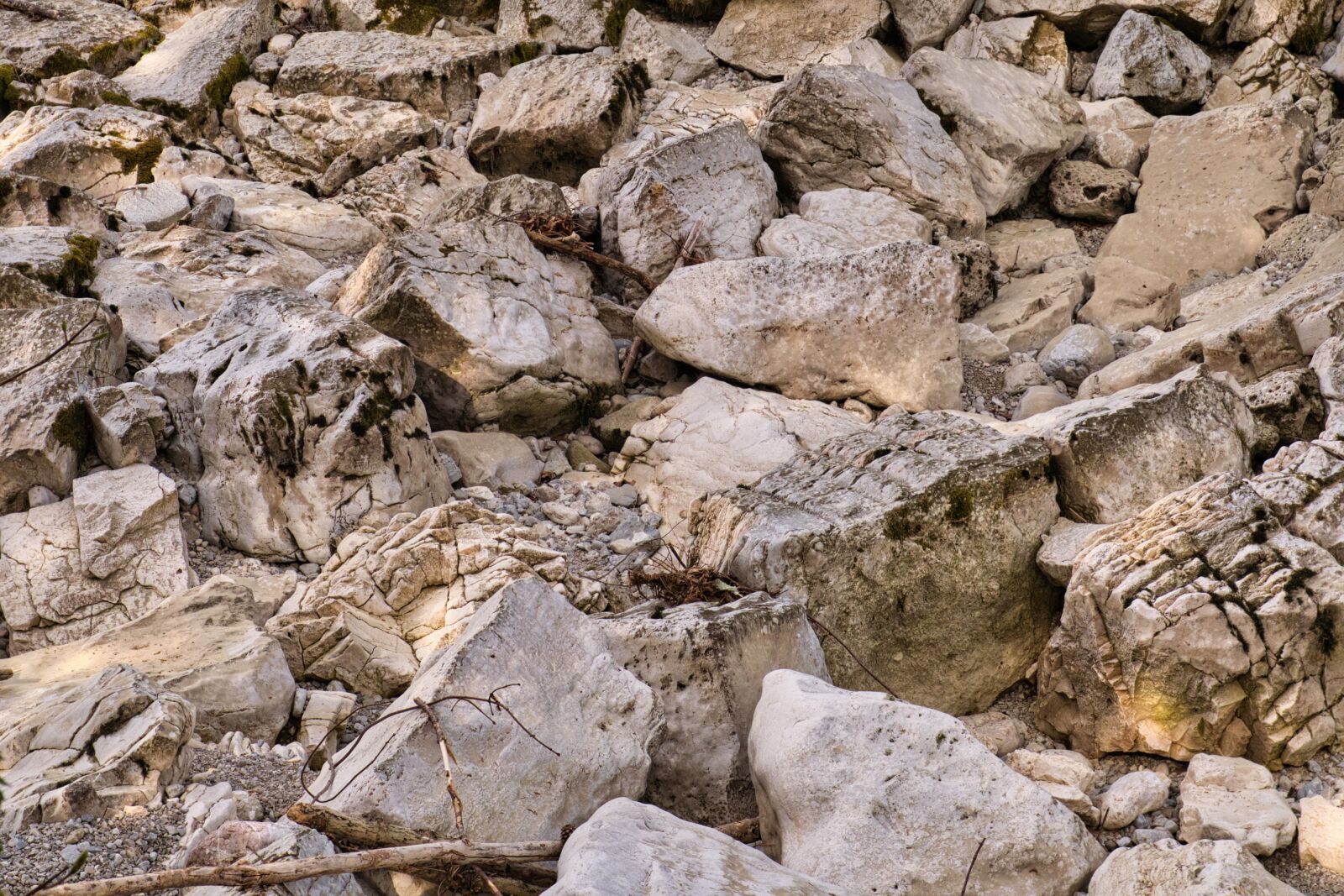 Nikon D7500 sample photo. Background, texture, pattern photography