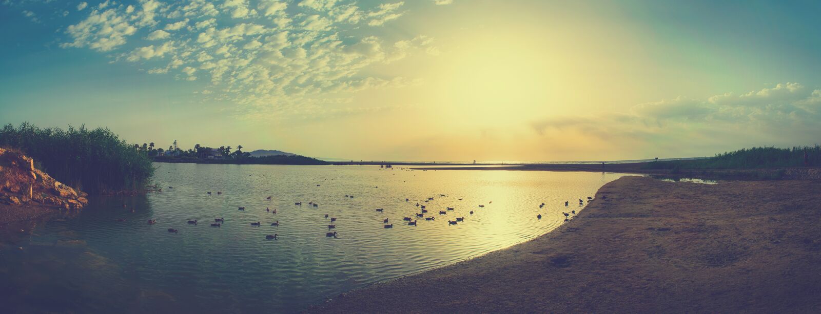 Nikon D3300 sample photo. Laguna, sea, ducks photography