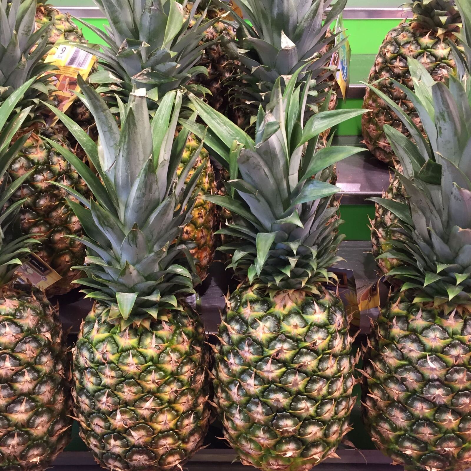 iPhone 6 back camera 4.15mm f/2.2 sample photo. Pineapple photography