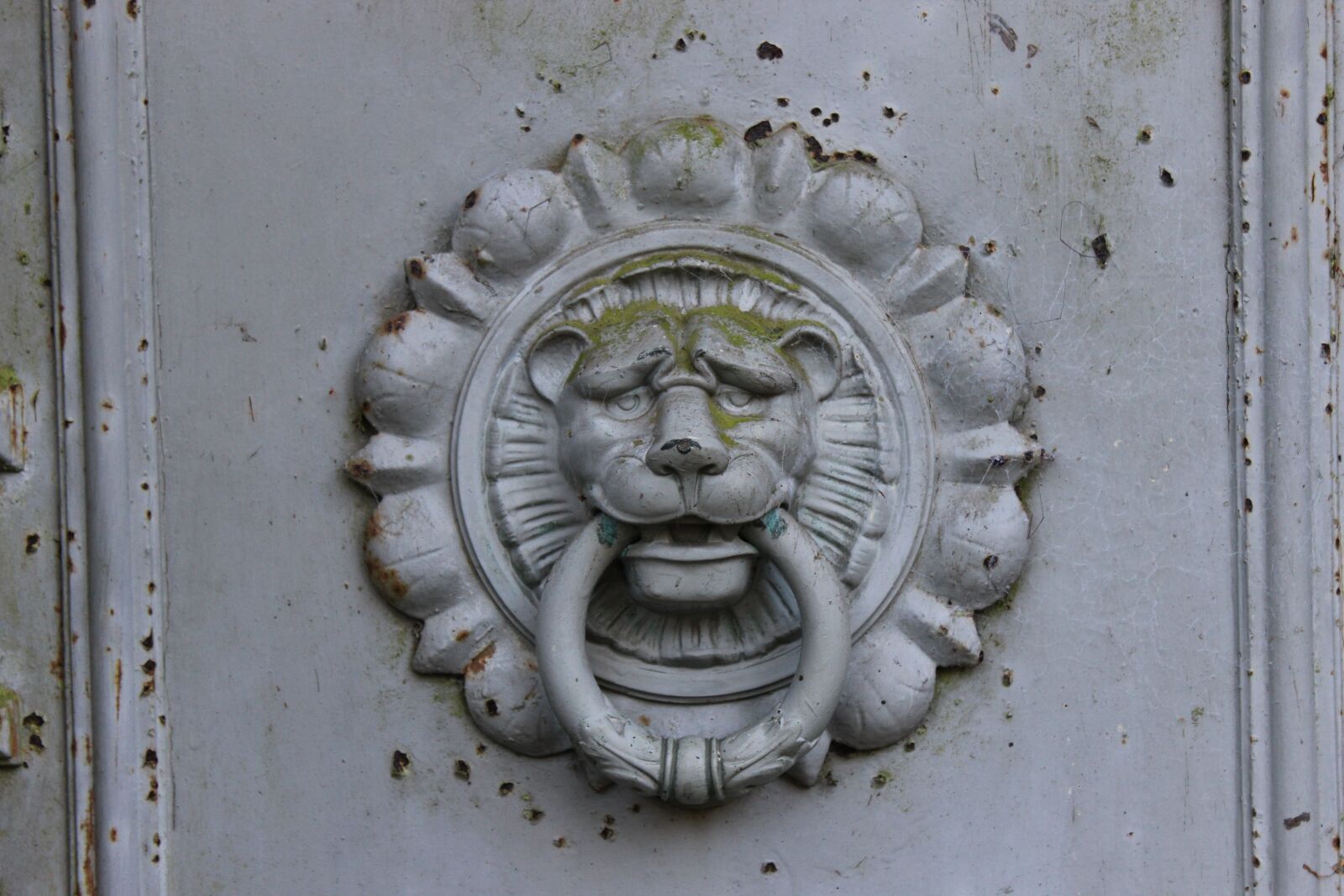 Canon EOS 600D (Rebel EOS T3i / EOS Kiss X5) sample photo. Goal, lion, input photography