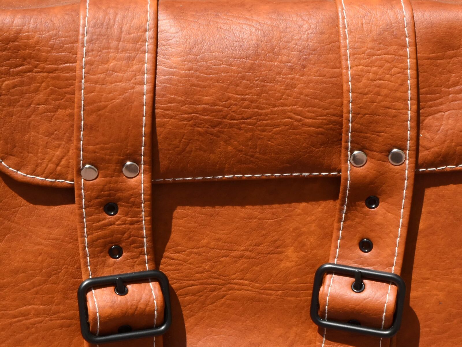 Nikon D5500 sample photo. Leather, fashion, luxury, belt photography