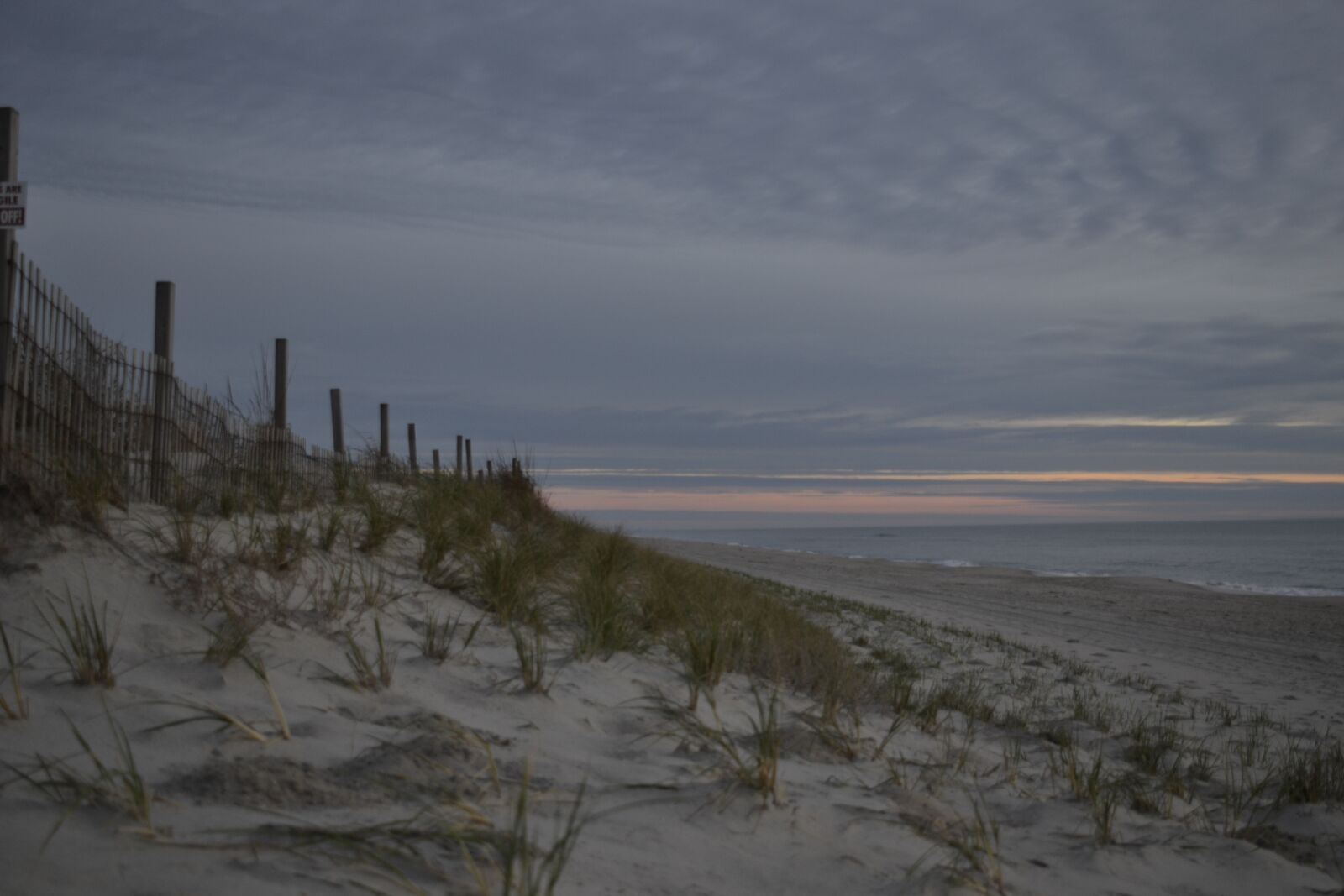 Nikon D3100 sample photo. Beach, dunes, sand photography