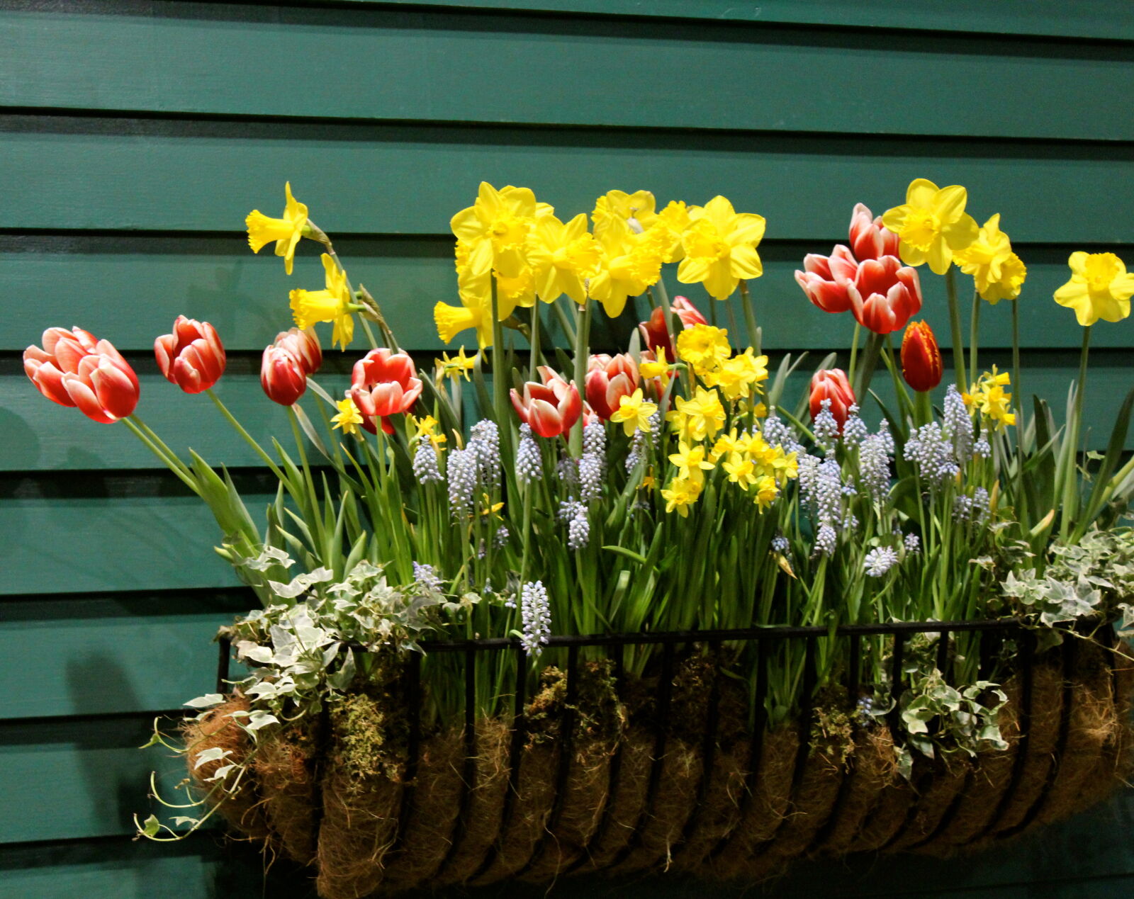 Canon EOS 1200D (EOS Rebel T5 / EOS Kiss X70 / EOS Hi) sample photo. Farmhouse, flower, flower, pot photography