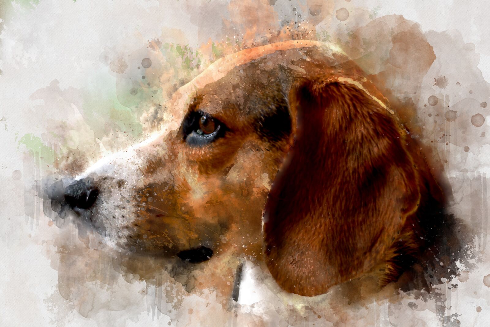 Nikon D750 sample photo. Dog, watercolor, pet photography