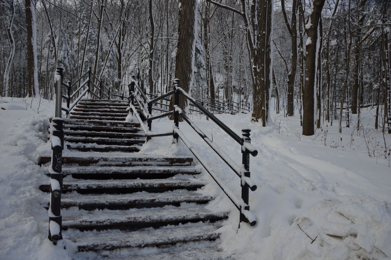 Nikon D3200 sample photo. Winter, montr al, mount photography