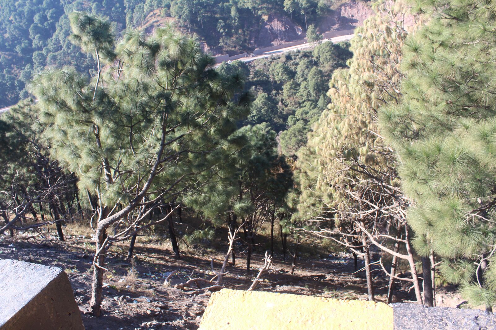 Canon EOS 1300D (EOS Rebel T6 / EOS Kiss X80) sample photo. Trees, nature, mountain photography