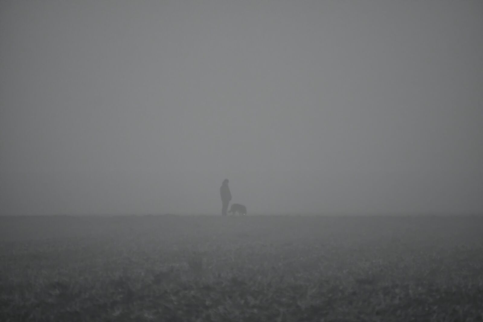 Sony E 55-210mm F4.5-6.3 OSS sample photo. Fog, walk, dog photography