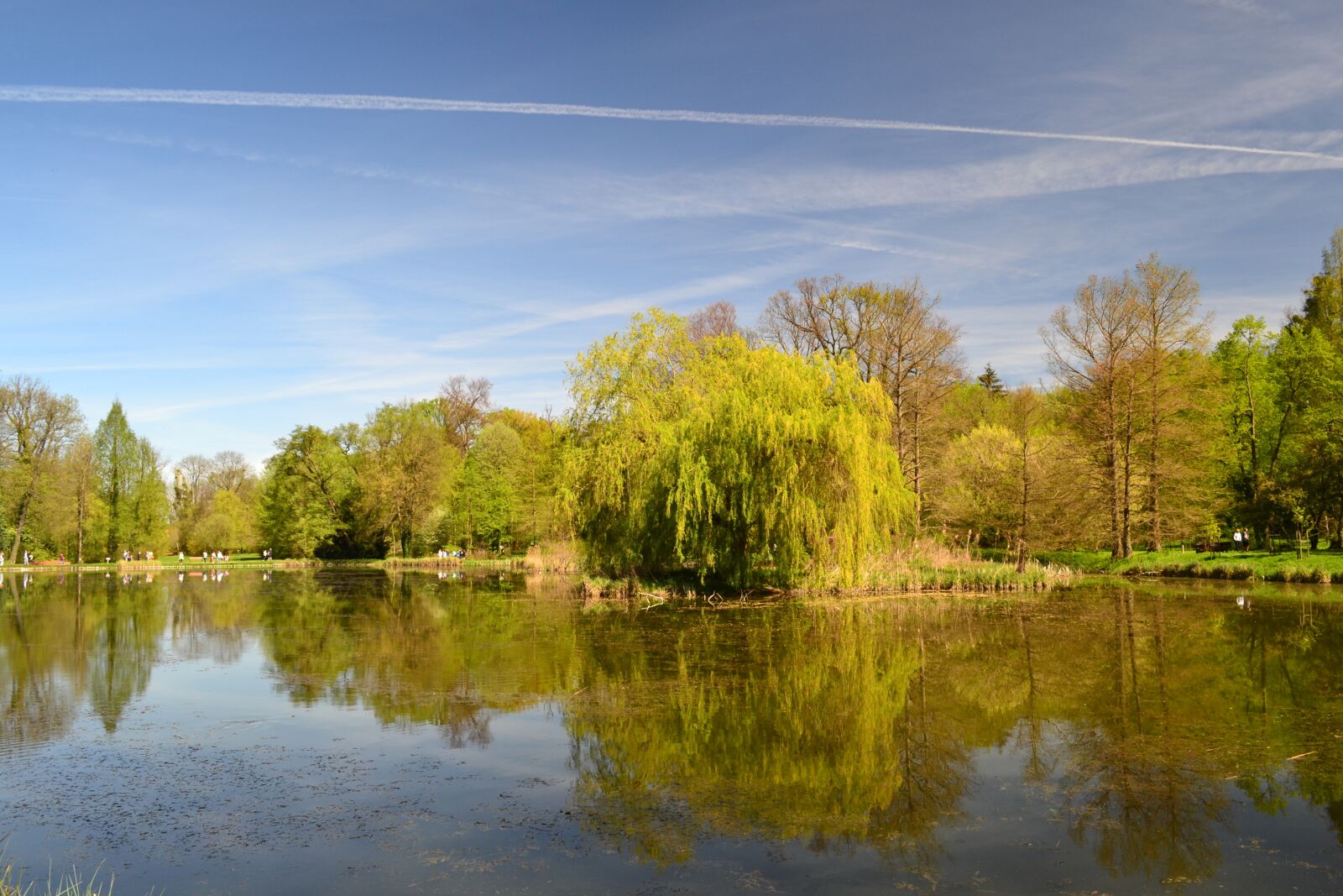 Nikon D3100 sample photo. Park, landscape, poland photography