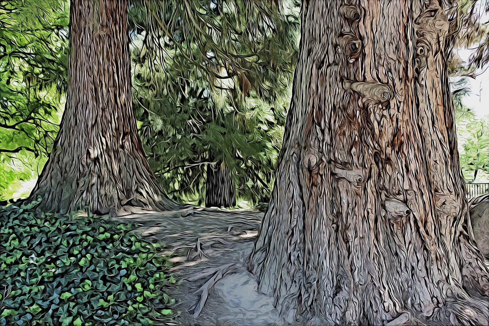 Canon EOS 600D (Rebel EOS T3i / EOS Kiss X5) sample photo. Sequoia trees, nature, forest photography