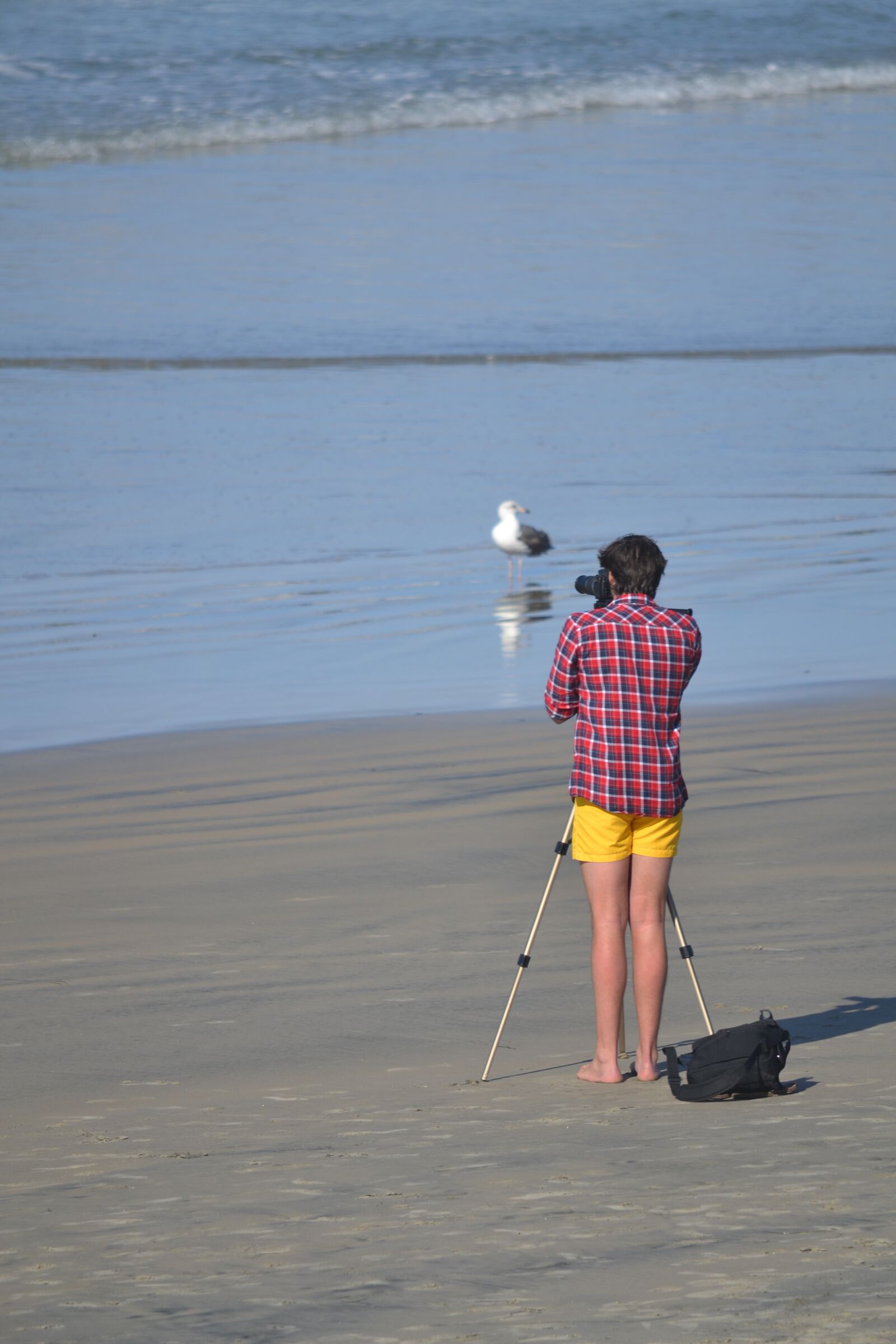 Nikon D3100 sample photo. Photographer, beach, ocean photography