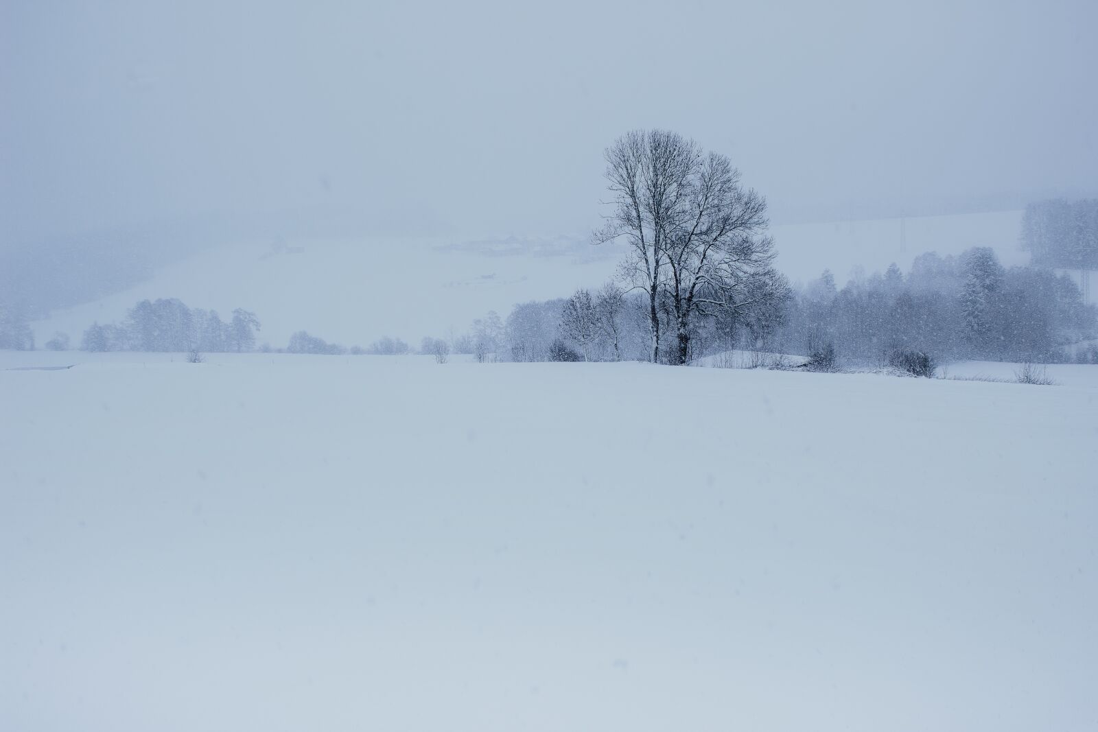 Canon EOS 1300D (EOS Rebel T6 / EOS Kiss X80) sample photo. Winter, snow, landscape photography