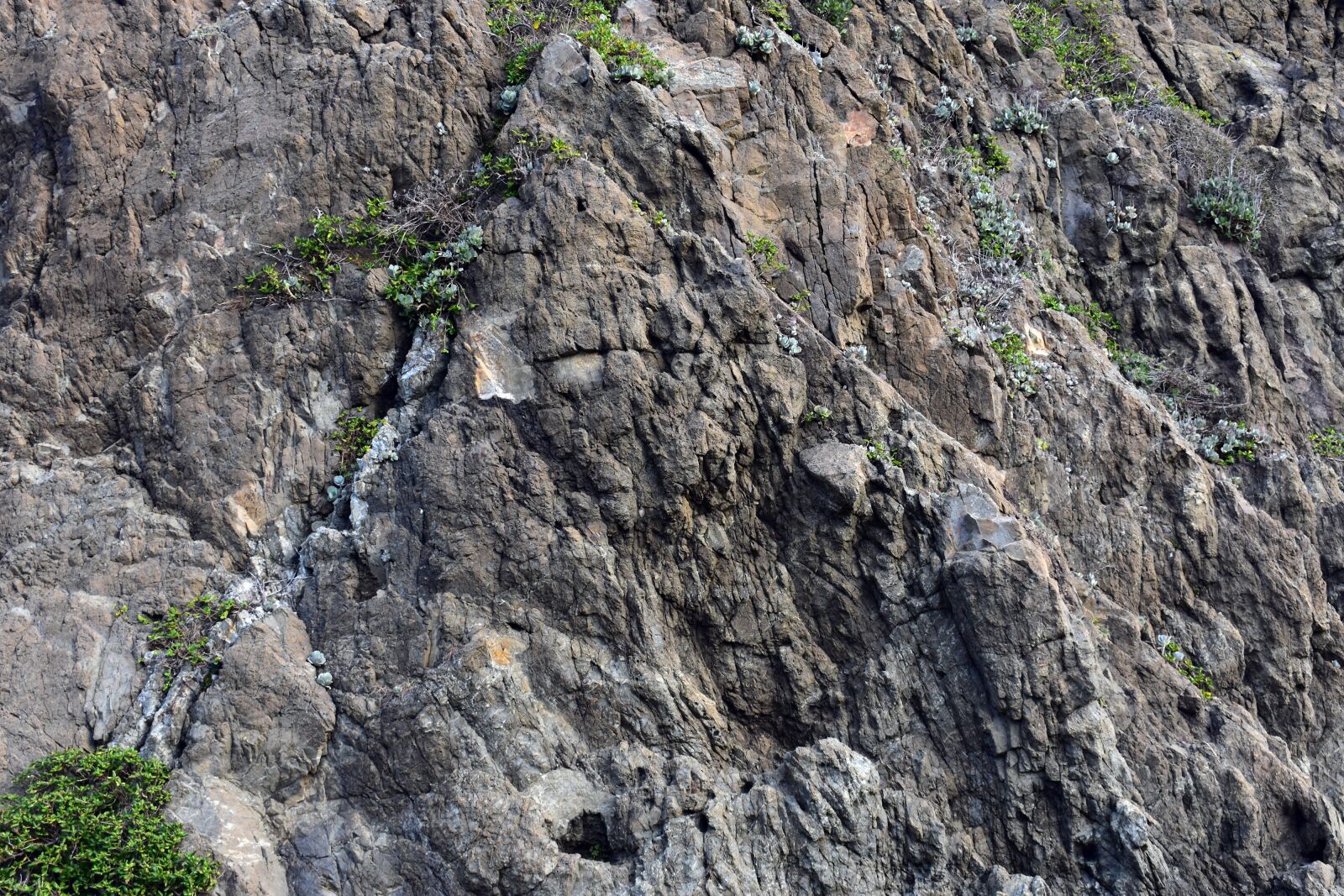 Nikon D3400 sample photo. Rock, texture, stone photography
