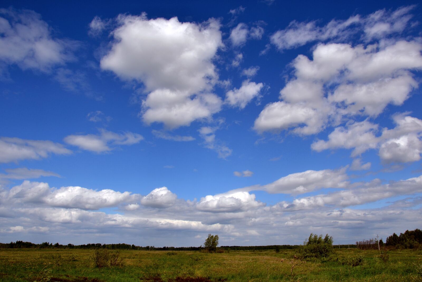 Nikon D3100 sample photo. Sky, clouds, wind photography