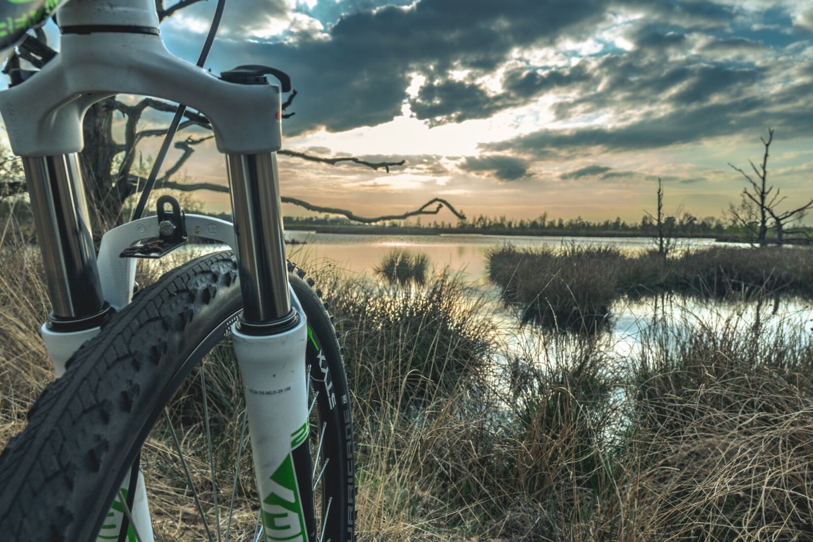 Sony a6300 sample photo. Nature, mountainbike, wheel photography
