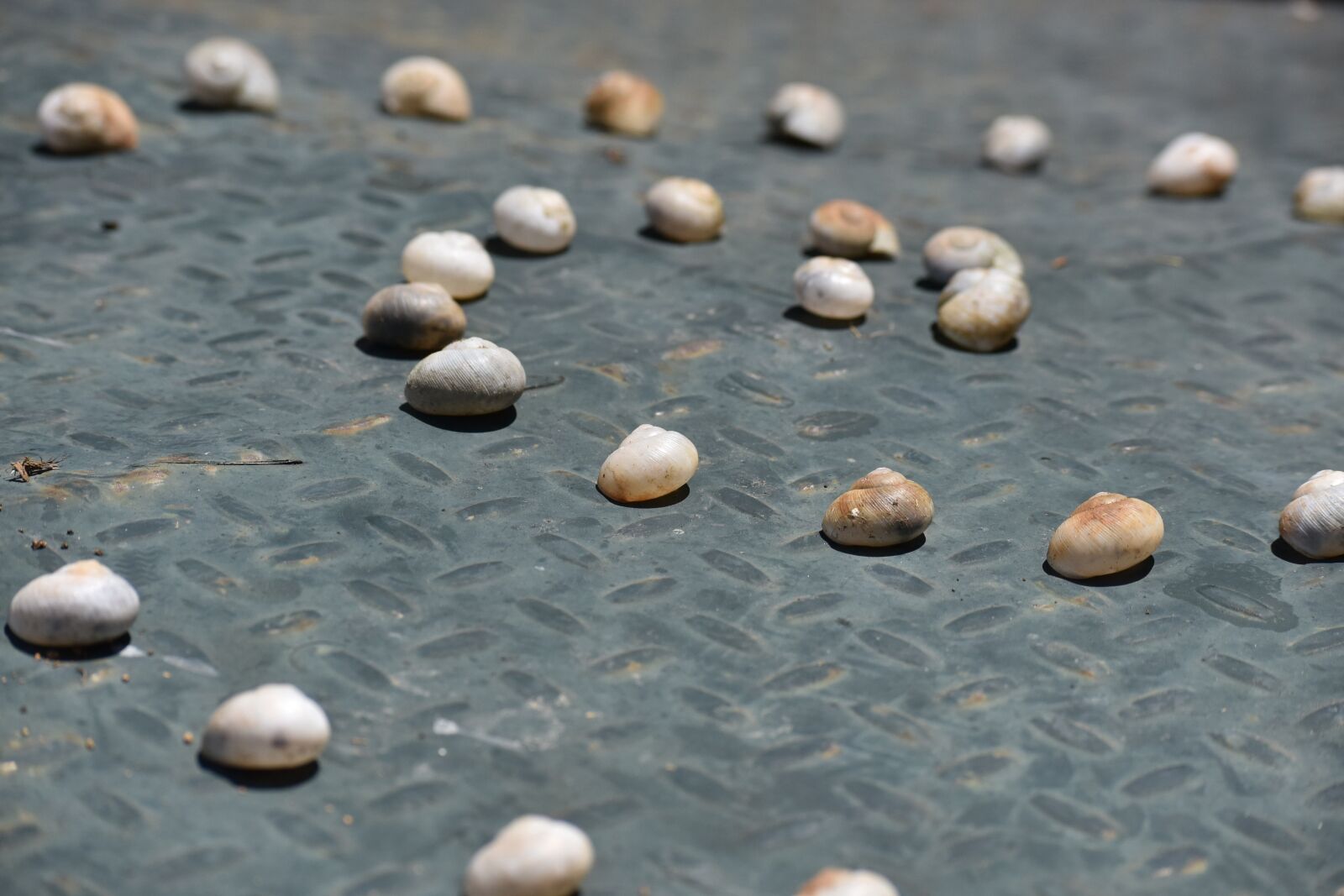 Nikon D810 sample photo. Beach, stone, body of photography