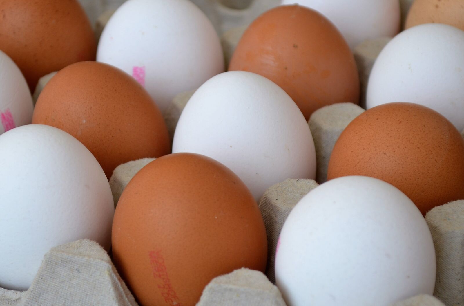 Nikon D3200 sample photo. Easter, egg shell, egg photography