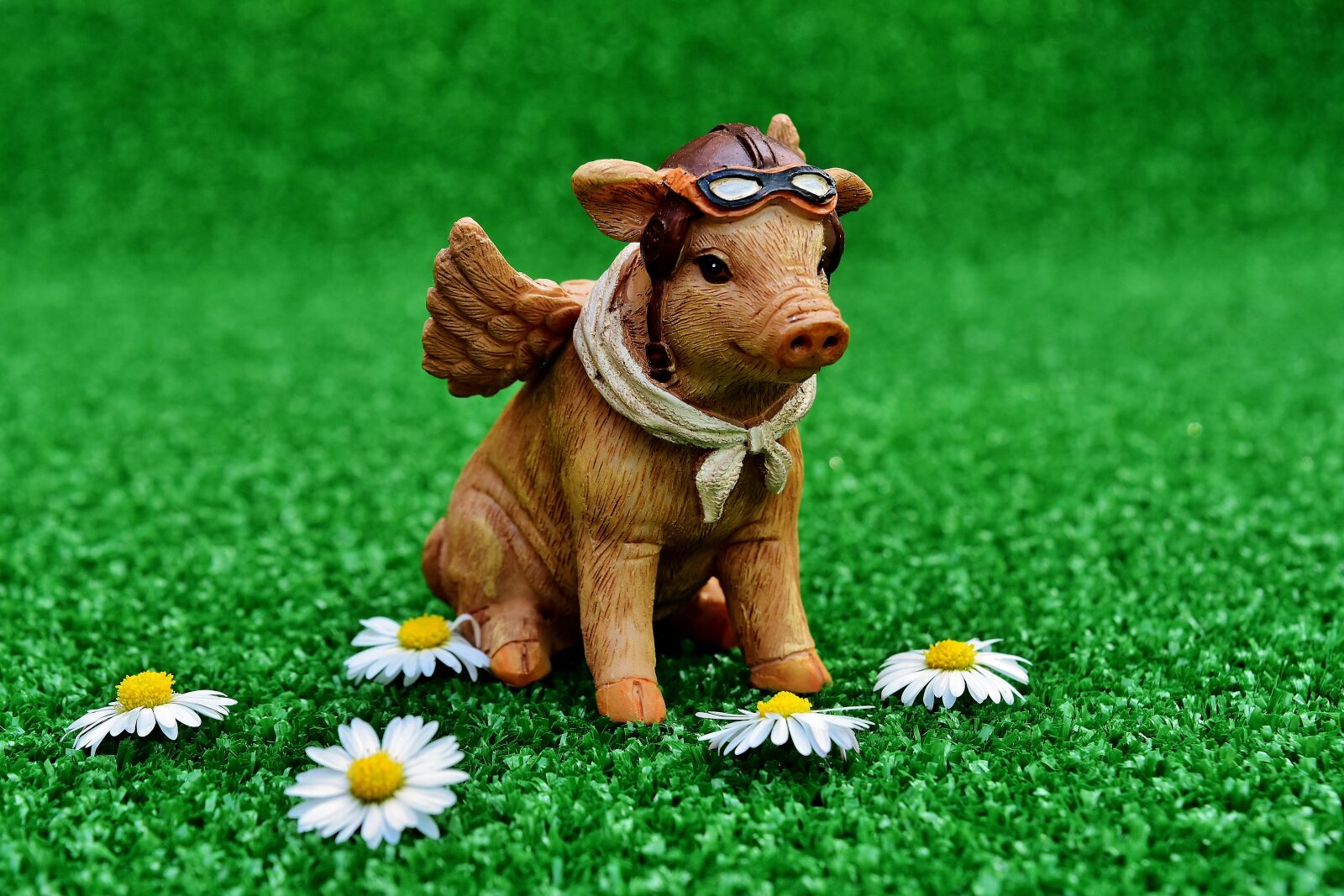 Nikon D7200 sample photo. Lucky pig, guardian angel photography