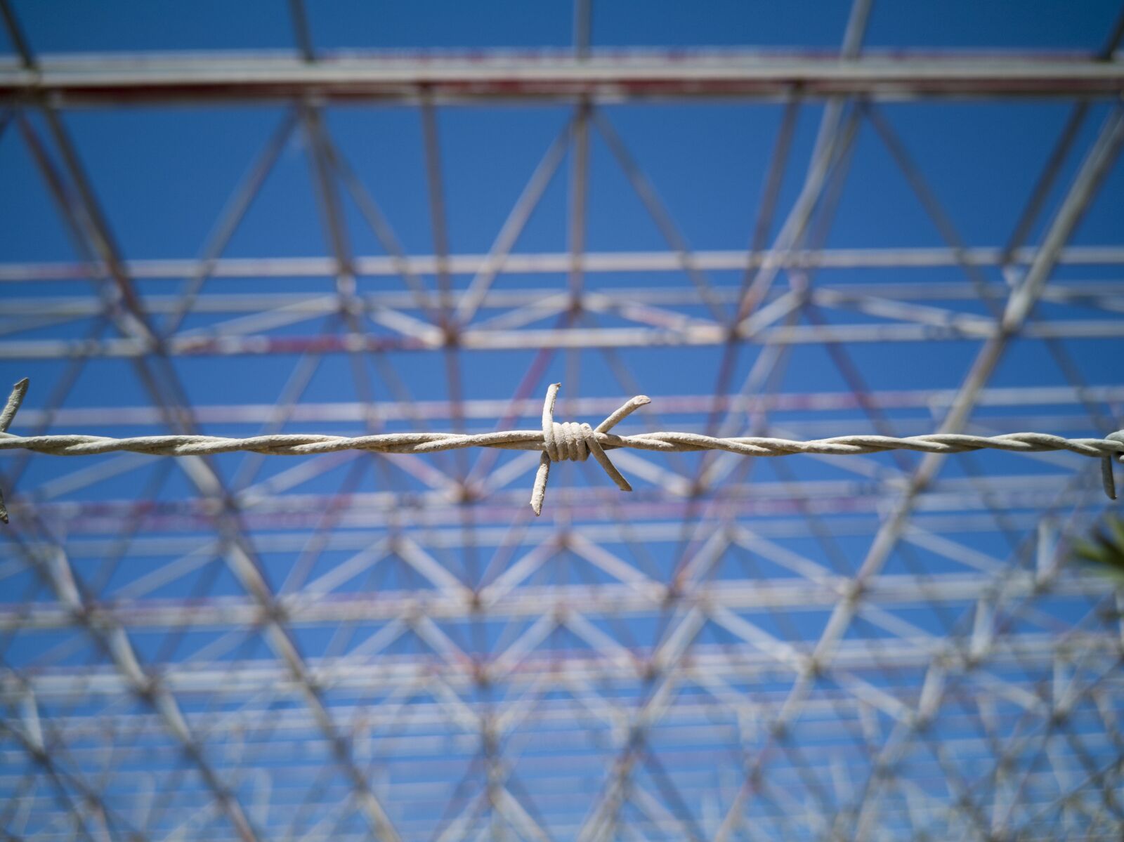 HUAWEI CLT-L09 sample photo. Barbed wire, metal, daniel photography