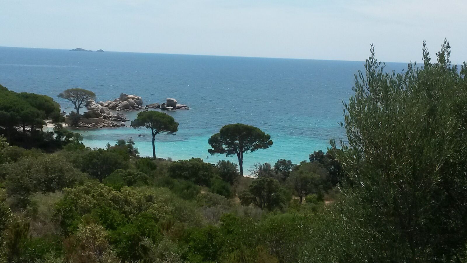Samsung Galaxy S4 Mini sample photo. "Tree, beach, sea" photography