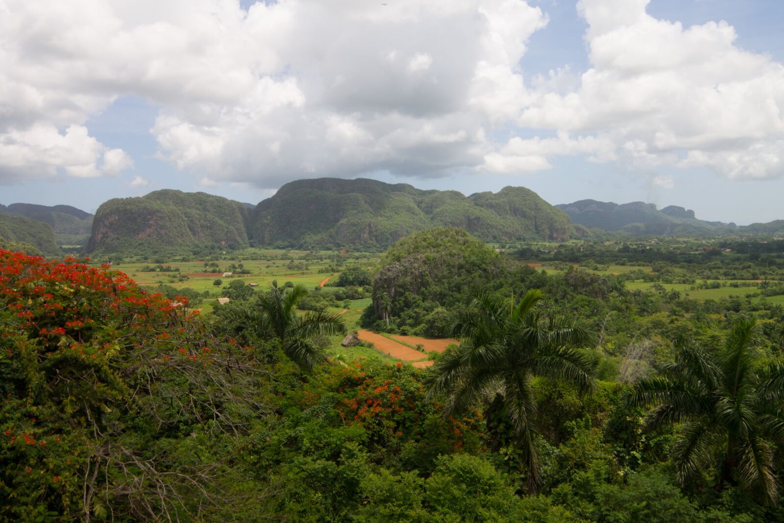 Canon EOS 1100D (EOS Rebel T3 / EOS Kiss X50) sample photo. Cuba, vinales, nature photography