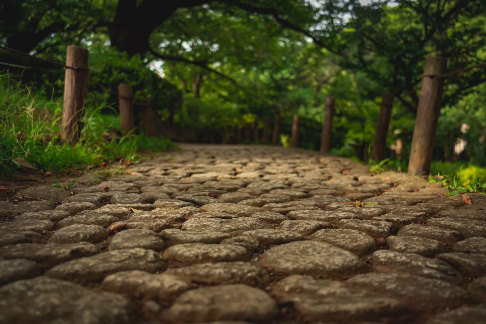 Canon EF-S 24mm F2.8 STM sample photo. Cobblestone, park, stone photography