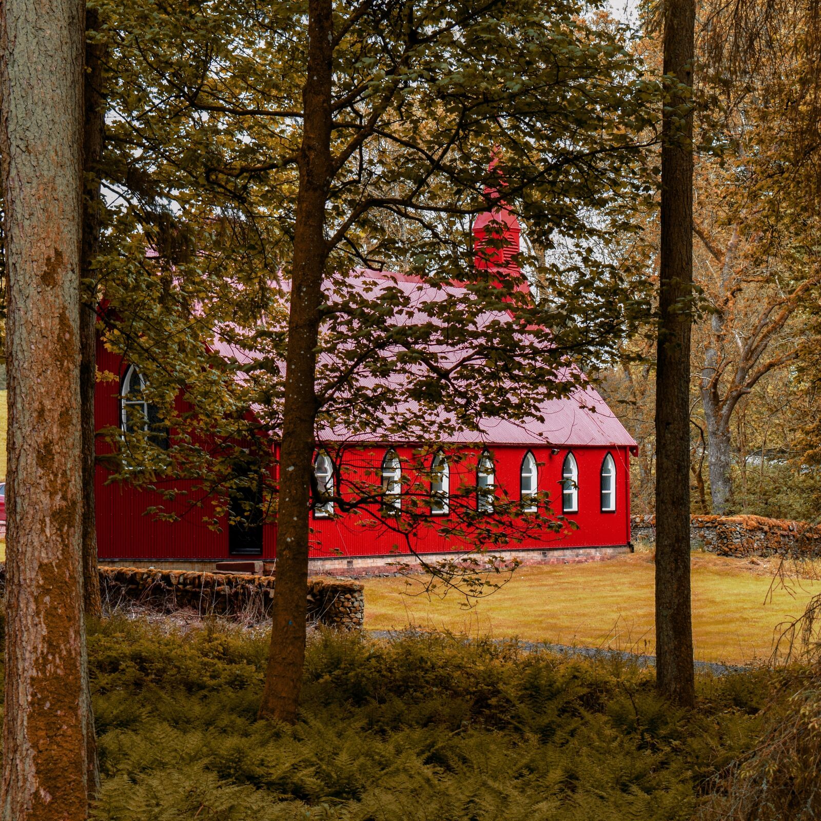 Nikon D3300 sample photo. Church, red, woods photography