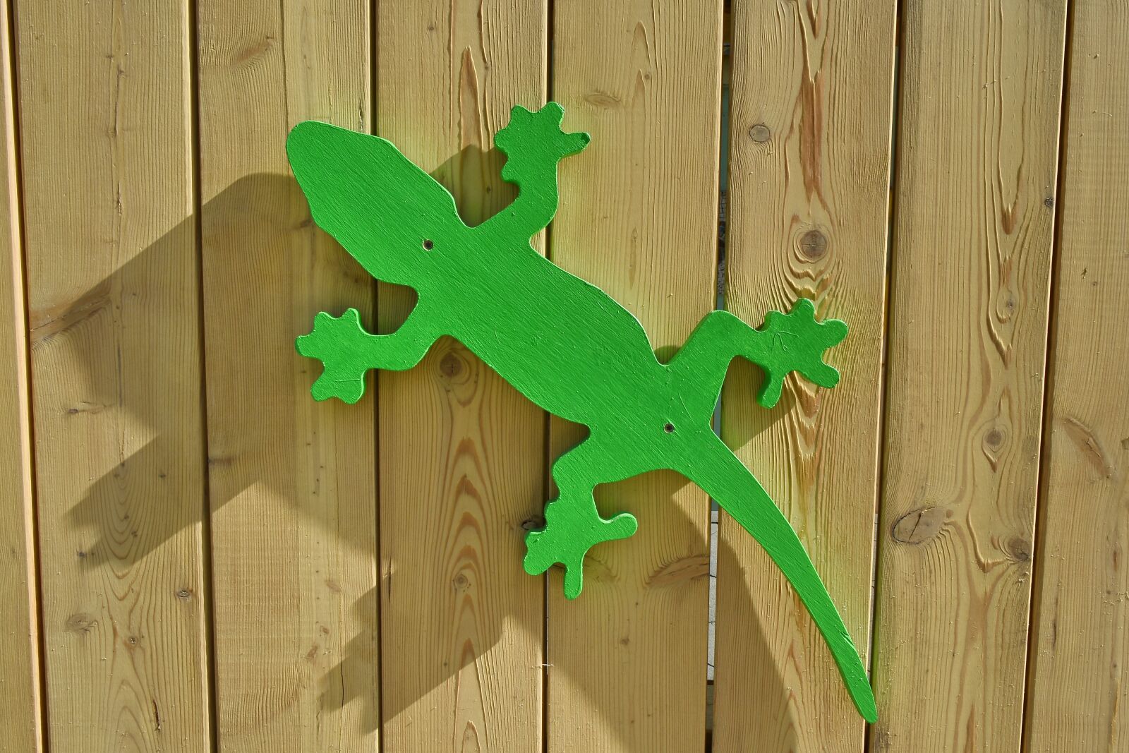Nikon D5500 sample photo. Lizard, object, wooden, wood photography