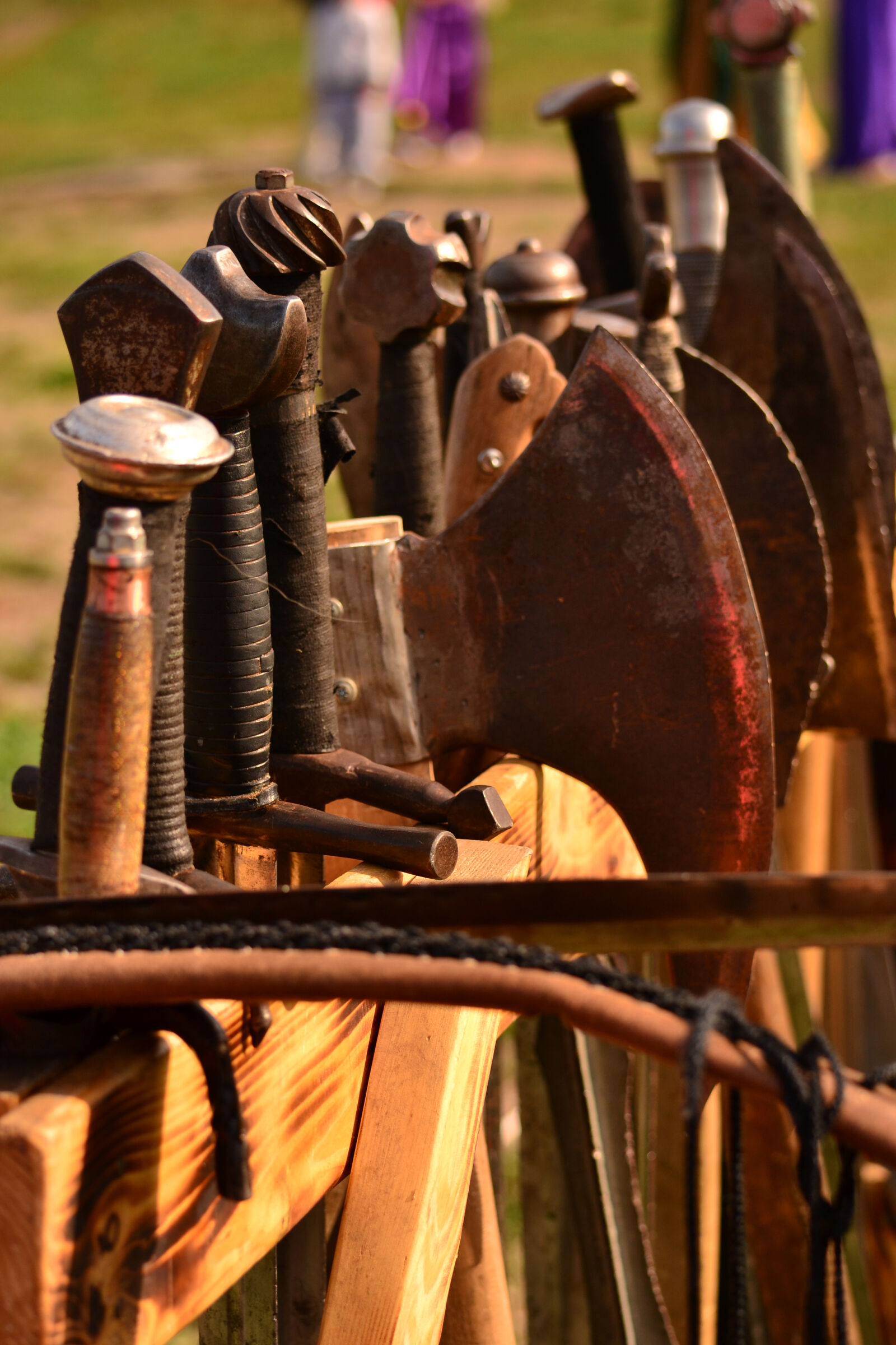 Nikon D3100 sample photo. Axe, bow, crossbow, iron photography