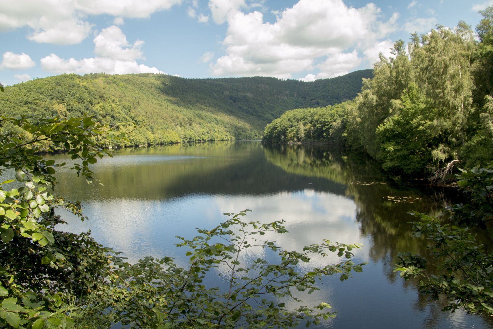 Canon EOS 70D sample photo. Lake, forest, eifel photography