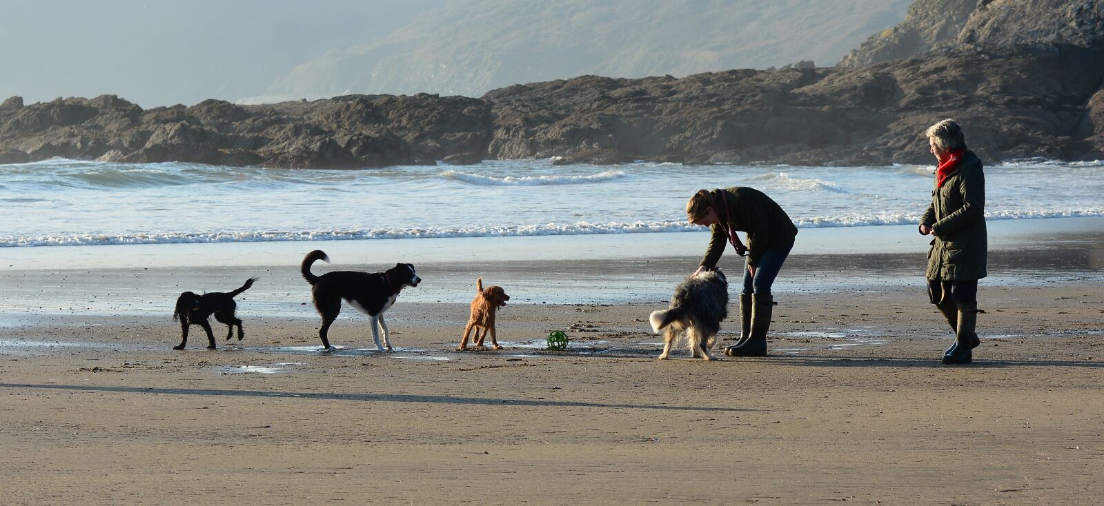 Nikon D7100 sample photo. Dogs, playing, beach photography