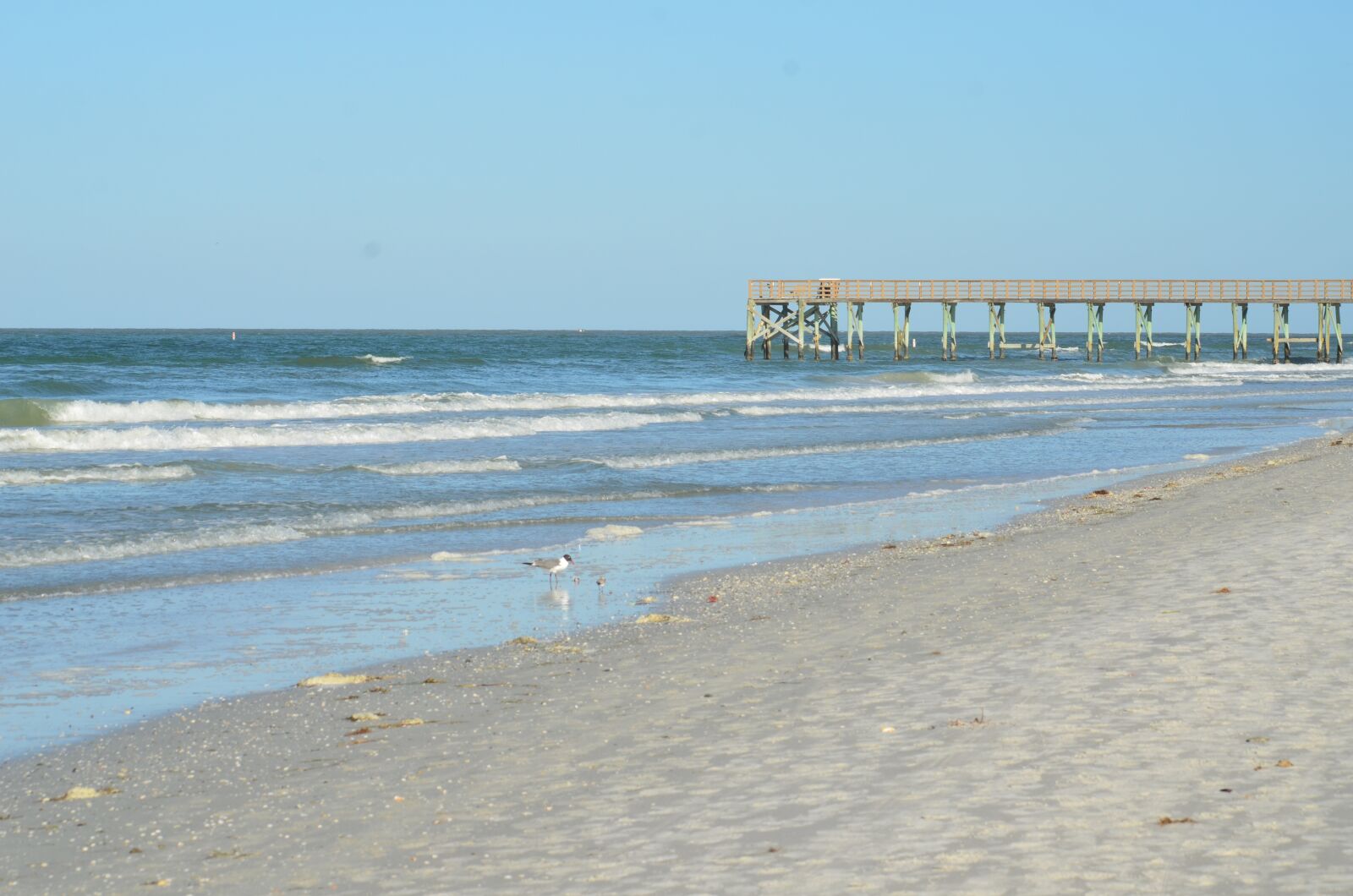 Nikon D7000 sample photo. Redington beach, florida, st photography